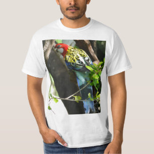 Male Eastern Rosella T-shirt