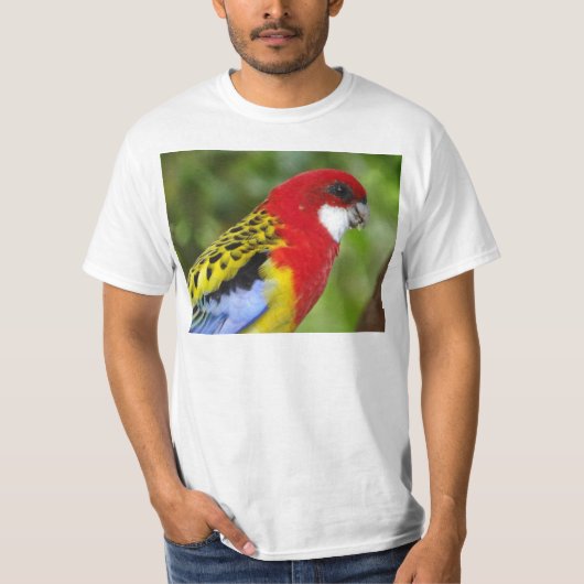 Male Eastern Rosella T-shirt (Voorkant)