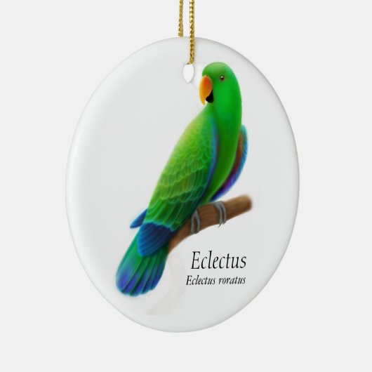 Male Eclectus Parrot Ornament (Rechts)