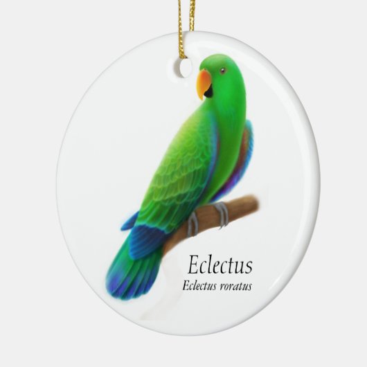 Male Eclectus Parrot Ornament (Links)