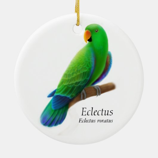 Male Eclectus Parrot Ornament (Achterkant)