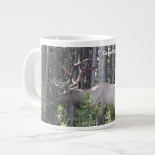 Male Elk, Grand Teton National Park, Fotografie Grote Koffiekop