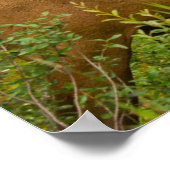 Male Elk | Nationaal Park Banff, Alberta, Canada Poster (Hoek)