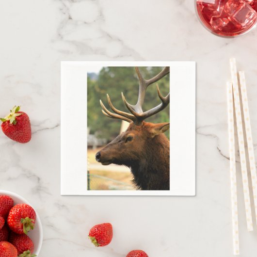 Male Elk Servetten (Insitu)