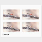 Male Finch Rechthoekige Sticker (Vel)