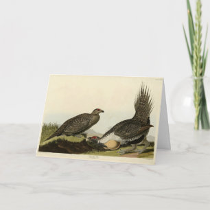 (Male Fowl) van de "Plains Audubon Birds of Americ Kaart