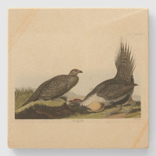 (Male Fowl) van de "Plains Audubon Birds of Americ Stenen Onderzetter