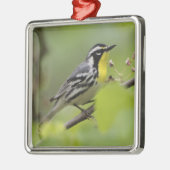 Male Gele-troebele Warbler, Dendroica Metalen Ornament (Links)