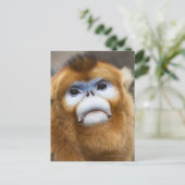 Male Golden Monkey Pygathrix roxellana Briefkaart (Staand voorkant)