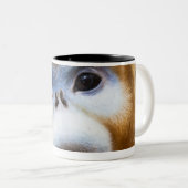 Male Golden Monkey Pygathrix roxellana Tweekleurige Koffiemok (Voorkant rechts)