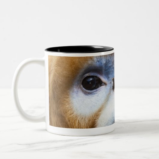 Male Golden Monkey Pygathrix roxellana Tweekleurige Koffiemok (Links)