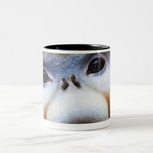 Male Golden Monkey Pygathrix roxellana Tweekleurige Koffiemok (Center)