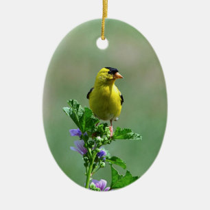 Male Goldfinch Keramisch Ornament
