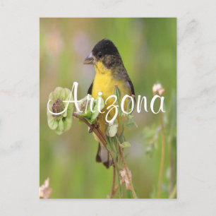 Male Goldfinch op bloemen Briefkaart
