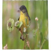 Male Goldfinch op bloemen Douchegordijn (Voorkant)