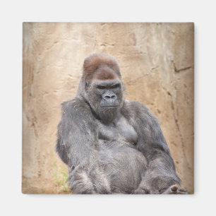 Male Gorilla Magneet