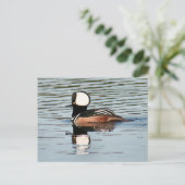 Male Hooded Merganser Duck Photo Briefkaart (Staand voorkant)