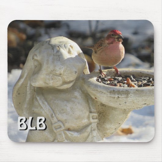 Male House Finch je initialen Muismat (Voorkant)
