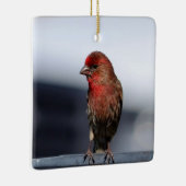 Male House Finch Ornament (Rechts)