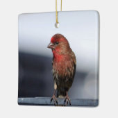 Male House Finch Ornament (Links)