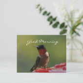 Male Hummingbird Briefkaart- aanpassen Briefkaart (Staand voorkant)