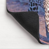 Male Leopard Muismat (Hoek)