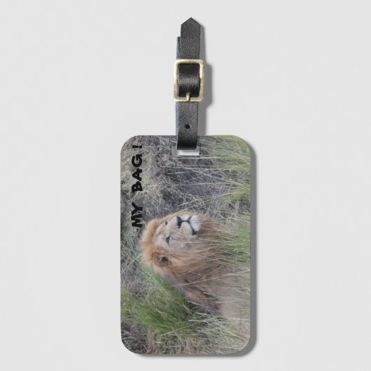 MALE LION BAGAGELABEL (Voorkant (verticaal))