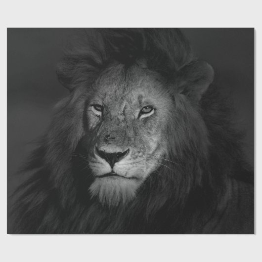 MALE LION CADEAUPAPIER (Vlak)