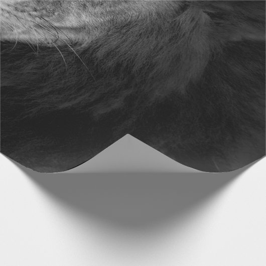 MALE LION CADEAUPAPIER (Hoek)