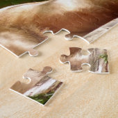 MALE LION FOTOGRAPHY PUZZZLES LEGPUZZEL (Zijkant)