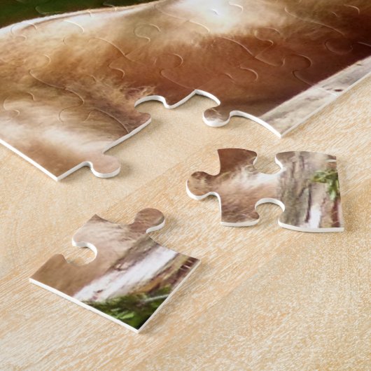 MALE LION FOTOGRAPHY PUZZZLES LEGPUZZEL (Zijkant)