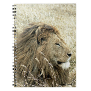 Male Lion Journal Notitieboek