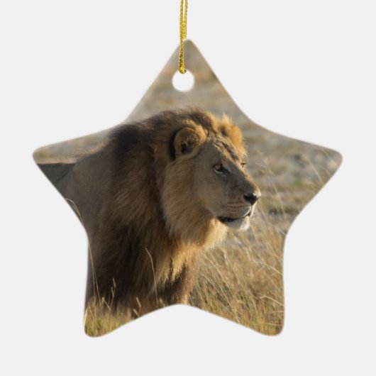 MALE LION KERAMISCH ORNAMENT (Voorkant)