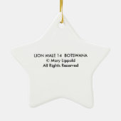 MALE LION KERAMISCH ORNAMENT (Achterkant)