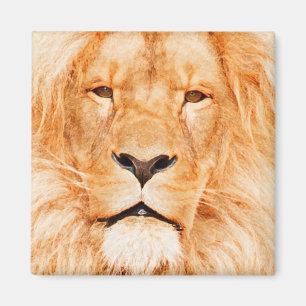MALE LION MAGNEET