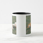 Male Lion Stretching Mok (Midden)