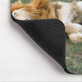 Male Lion Stretching Muismat (Hoek)