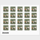 Male Lion Stretching Vierkante Sticker (Vel)
