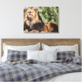 Male Lion Sunbathing Canvas Afdruk (Insitu (Slaapkamer))
