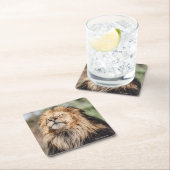 Male Lion Sunbathing Kartonnen Onderzetters (Insitu)