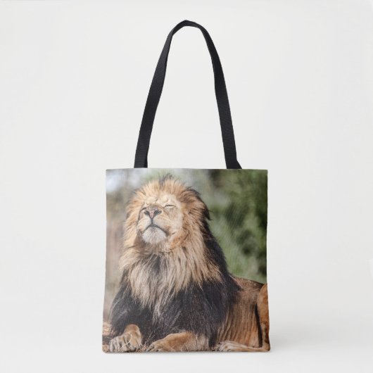 Male Lion Sunbathing Tote Bag (Voorkant)