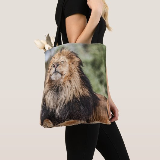 Male Lion Sunbathing Tote Bag (Dichtbij)