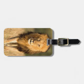 Male Lion Walking Bagagelabel (Voorkant horizontaal)