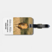 Male Lion Walking Bagagelabel (Achterkant horizontaal)