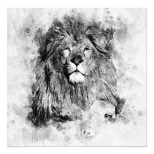 Male Lion Zwart-wit Waterverf Portret Foto Afdruk