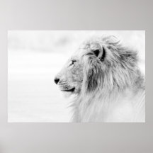 MALE LION - ZWARTE EN WITTE