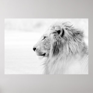 MALE LION - ZWARTE EN WITTE POSTER