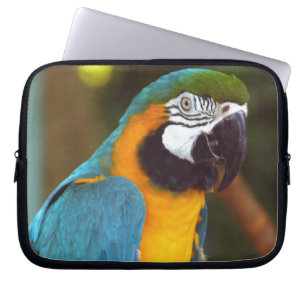 Male Macaw Laptop Sleeve