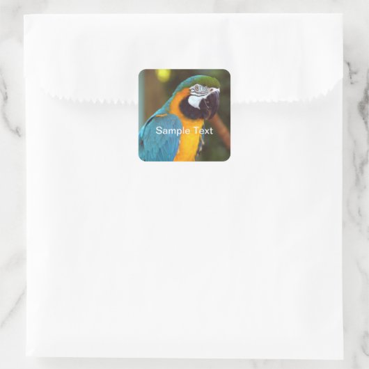 Male Macaw Vierkante Sticker (Tas)