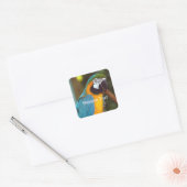Male Macaw Vierkante Sticker (Envelop)